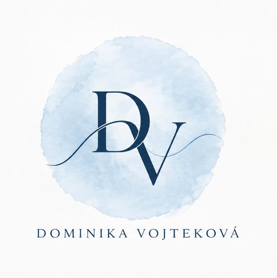 Logo DV